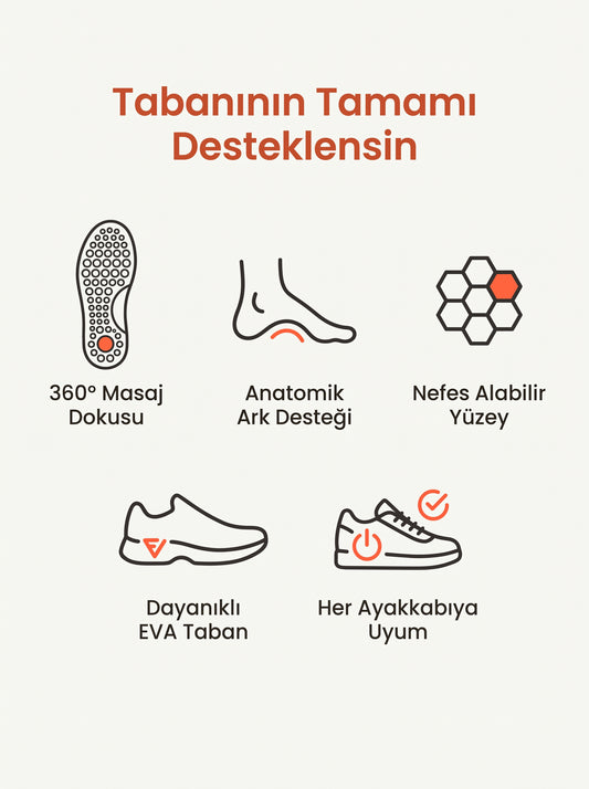 360 Anatomik Tabanlık