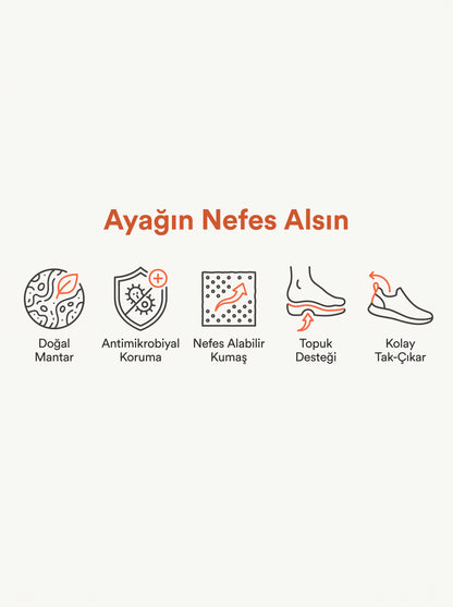 Antibakteriyel Mantar Tabanlık